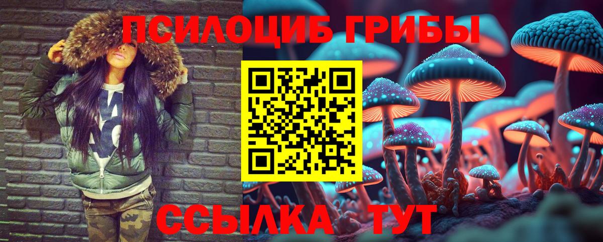 Королёв  Галлюциногенные грибы Magic Shrooms  Псилоцибиновые грибы Psilocybe  Вход с VPN 